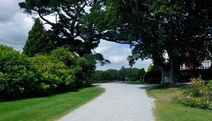 Every road leads somewhere...