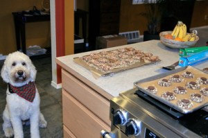 I don't care about 'was' I just want a cookie!